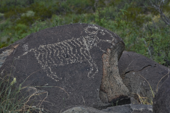 petroglyph